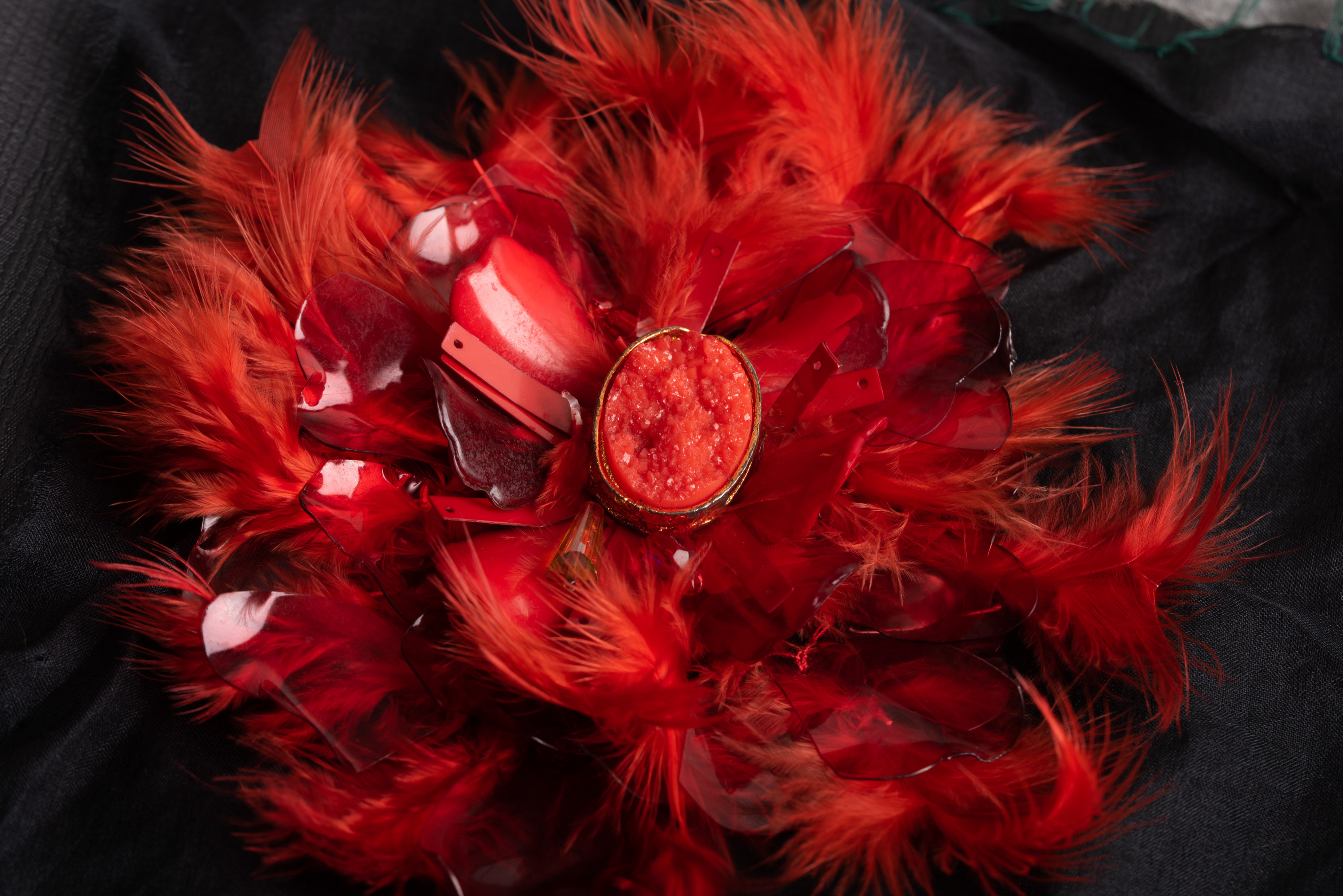 Ruby Feathers Embroidery