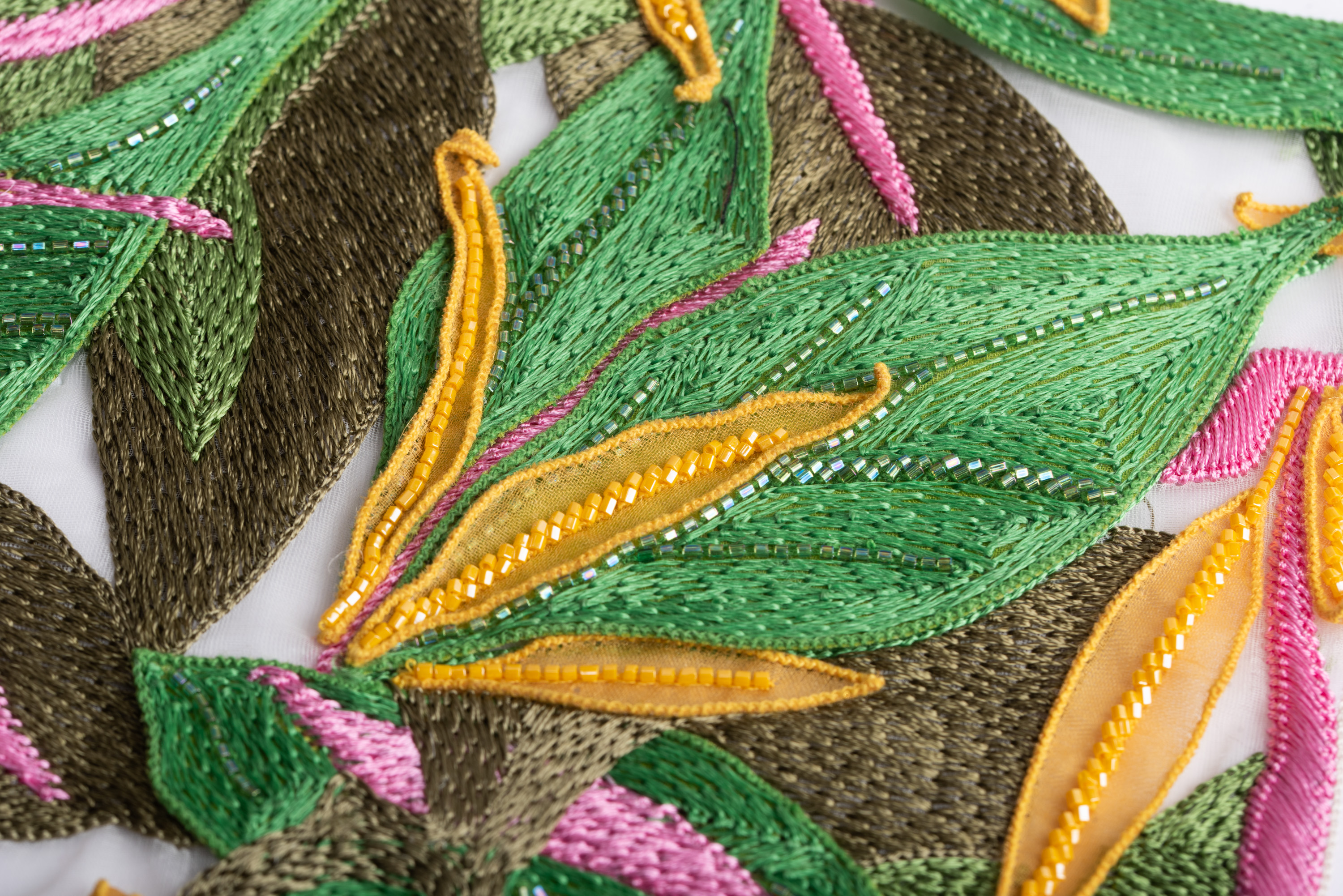 Tropical Leaves